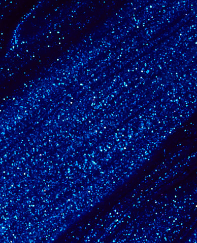 Nail Lacquer Blue My Mind